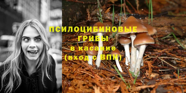ALPHA-PVP Вязники