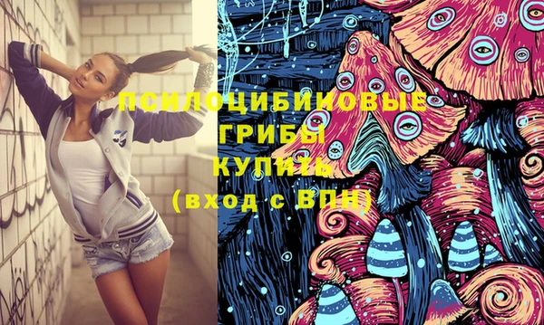 стафф Вязьма