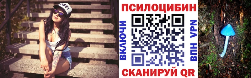 Купить закладки  Кунгур  Галлюциногенные грибы ЛСД 